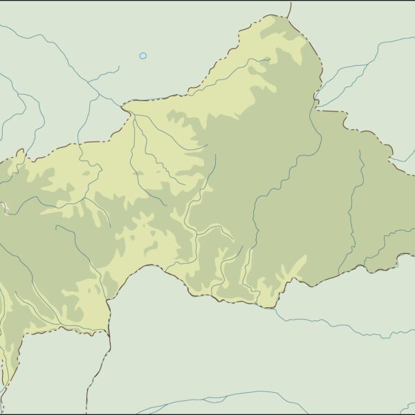 central africa illustrator mapa físico digital