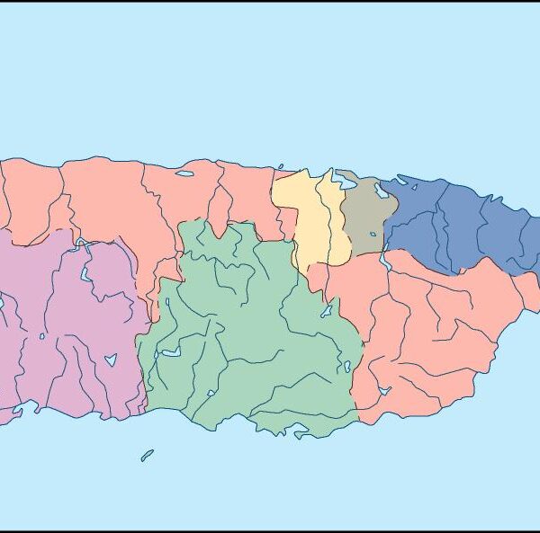 puerto rico mapa mudo vectorial