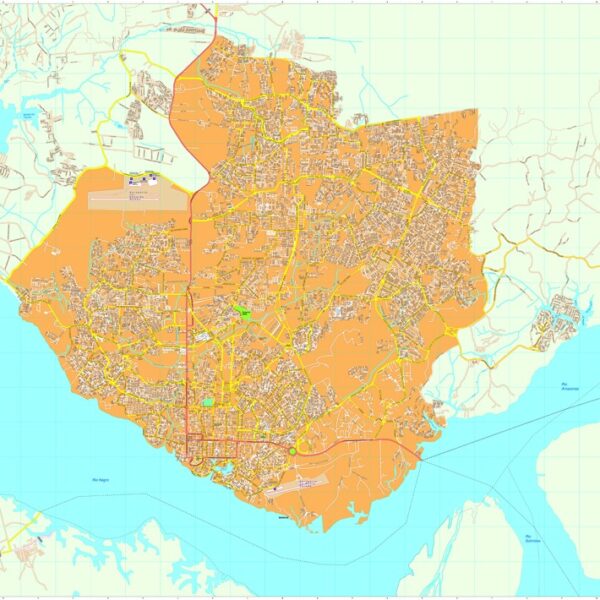 Manaus vector mapa digital