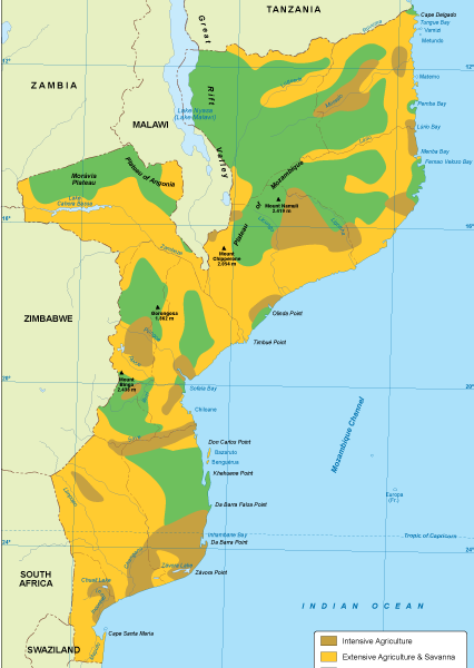 Mozambique mapa vegetación digital