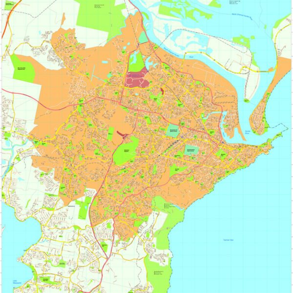 Newcastle Vector Mapa digital