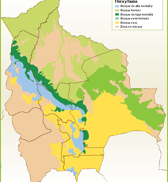 mapa Illustrator Bolivia | Mapas vectoriales de España y del mundo