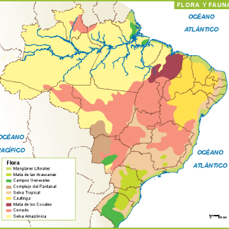 Brasil mapa flora fauna