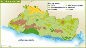 El Salvador flora y fauna