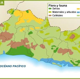 El Salvador flora y fauna