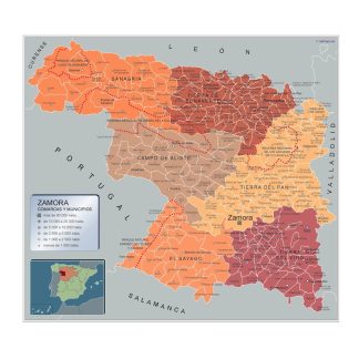 Mapa Municipios Zamora